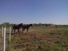 IMG_20150422_100238