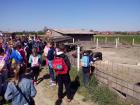 IMG_20150422_101820