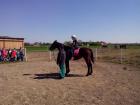IMG_20150422_102635