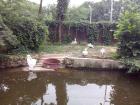 IMG_20150616_154507
