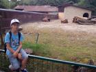 IMG_20150616_160632