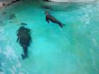 IMG_20150616_162816