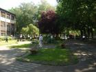 DSC02964