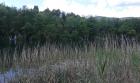20140602_113240
