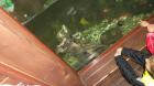20150525_122433_resized