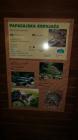 20150525_122833_resized