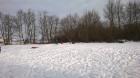 WP_20170119_11_02_41_Pro