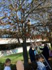 IMG-804b1b8a1a629e2f1cd17ca918500d59-V