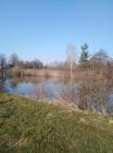 IMG-20210225-WA0007