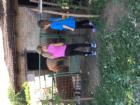 IMG_9308 (1)