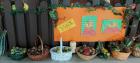 Viber_slika_2022-09-29_11-32-05-042