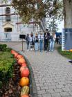 Viber_slika_2024-10-08_08-50-57-461