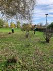 IMG-20191023-WA0033