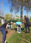 IMG-20191023-WA0010