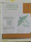 IMG_20200224_125258