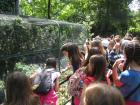 Iz Zoo...