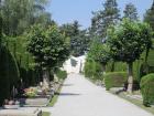 Varadin - Park Groblje
