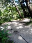 IMG_20130703_151237