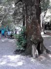 IMG_20130703_151351