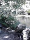 IMG_20130703_151506
