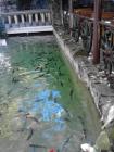 IMG_20130703_163234