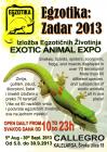 IzloBa Egzotika Zadar 2013