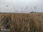 IMG_20210309_094605