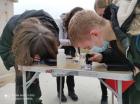 IMG_20210309_100653