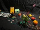 IMG-20230505-WA0023