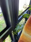 IMG-20230505-WA0025