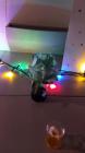 IMG-20230505-WA0042
