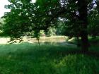 DSCN0041