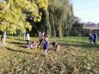 Viber_slika_2021-11-12_11-19-29-812