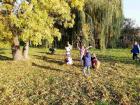 Viber_slika_2021-11-12_11-19-30-306