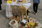 IMG_4119 (2)