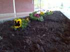 IMG_20140403_121021