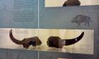 IMG_20170308_100440