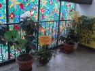 DSC07915