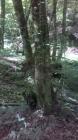 WP_20140523_10_39_35_Pro