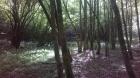 WP_20140523_10_39_52_Pro