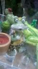 WP_20140523_15_26_26_Pro