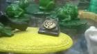 WP_20140523_15_27_48_Pro