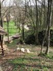 Dolazak Do Baraeve pilje (Near Bara Caves)