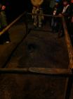 10.000 Yrs Old Bat Shit