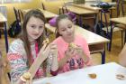 Domacinstvo-Muffini025