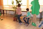 Sv_franjo024