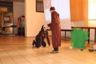Sv_franjo031