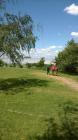 WP_20160531_062