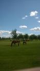 WP_20160531_089