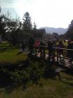 Slika019